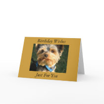 I Love Yorkies Greeting Cards