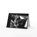 I Love You Black cat greeting card