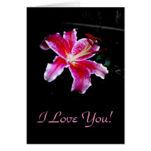 I Love You!, Blank Card