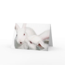I love you greeting card