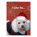 I Love You Christmas poodle greeting card
