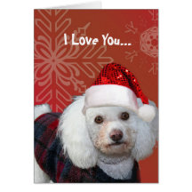 I Love You Christmas poodle greeting card