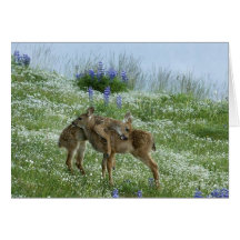 I Love You Deer Greeting Card