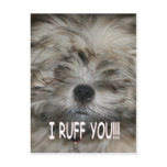 I love you I ruff you shih tzu dog puppy postcards