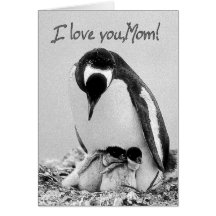 I love you,Mum Cards