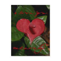 I Love You Naturally! - Fabric look - Valentine Postcards
