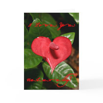 I Love You Naturally! - Valentine's Day + Meanings Greeting Card