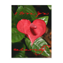 I Love You Naturally! - Valentine's Day + Meanings Postcards