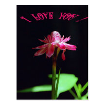 I love you post card