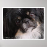 I love you puppy posters