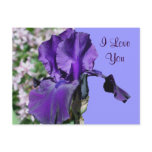I Love You Purple Iris Flower Photo Postcard