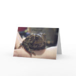 I love you! Toad cards