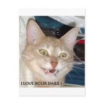 I LOVE YOUR SMILE postcards