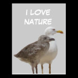 I LOVENATURE postcards