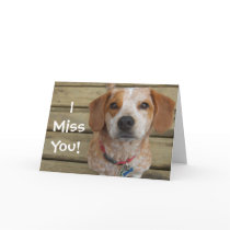 I Miss You Beagle Mix Greeting Card