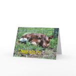 I Miss You Greeting Cards