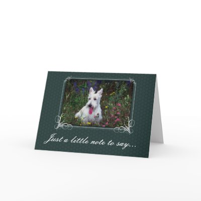 I Miss You Card by ironydesignphotos