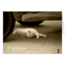 I Miss You Card - Lonely Cat