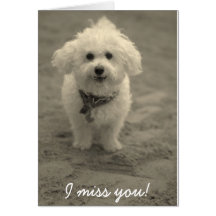 I miss you! greeting cards