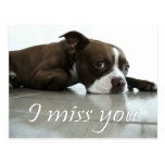 I miss you post cards