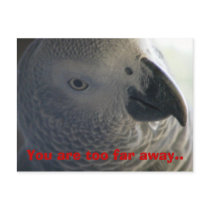 I miss you Postcard