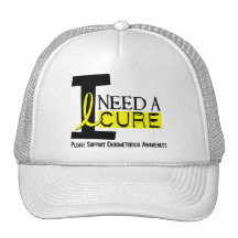 I Need A Cure 1 Endometriosis Trucker Hats