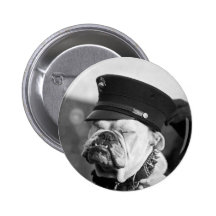 I Need a Nap: 1923 Pins