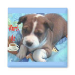 I Need Coffee Basenji Pup Magnet