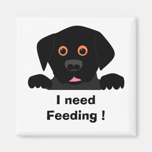i need feeding refrigerator magnet zazzle i need feeding refrigerator magnet zazzle