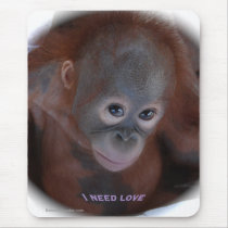 I need love