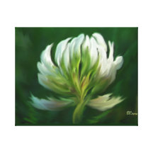 I OPEN MY HEART TO YOU    PRINT ON CANVAS CANVAS PRINTS