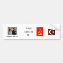 I PLEDGE BUMPER STICKER