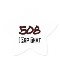 I Rep That 508 Area Code Star Sticker