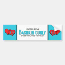 I Rescued a Bashkir Curly (Male Horse) Bumper Stickers