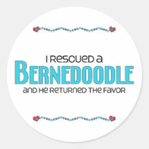 I Rescued a Bernedoodle (Male) Dog Adoption Design Round Stickers