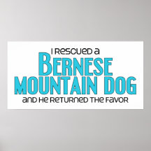 I Rescued a Bernese Mountain Dog (Male Dog) Poster