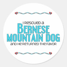 I Rescued a Bernese Mountain Dog (Male Dog) Round Stickers