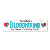 I Rescued a Bloodhound (Female Dog) Bumper Sticker