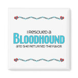 I Rescued a Bloodhound (Female Dog) magnets