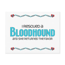 I Rescued a Bloodhound (Female Dog) Post Cards