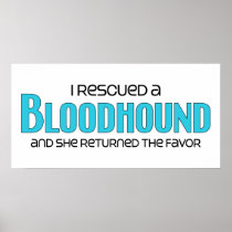 I Rescued a Bloodhound (Female Dog) Posters
