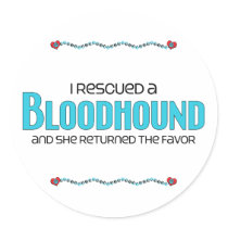 I Rescued a Bloodhound (Female Dog) Sticker