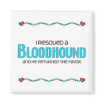 I Rescued a Bloodhound (Male Dog) Magnet