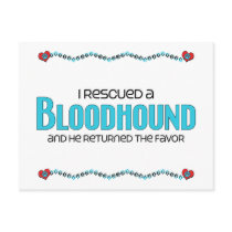 I Rescued a Bloodhound (Male Dog) Post Cards