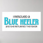 I Rescued a Blue Heeler (Female Dog) Poster