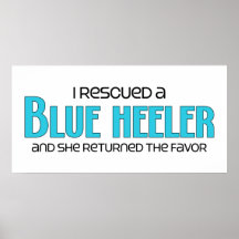 I Rescued a Blue Heeler (Female Dog) Poster