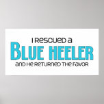 I Rescued a Blue Heeler (Male Dog) posters