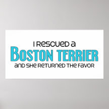 I Rescued a Boston Terrier (Female Dog) Poster