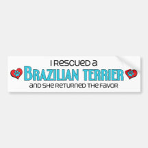 I Rescued a Brazilian Terrier (Female Dog) Bumper Sticker