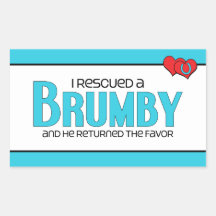 I Rescued a Brumby (Male Horse) Rectangular Sticker